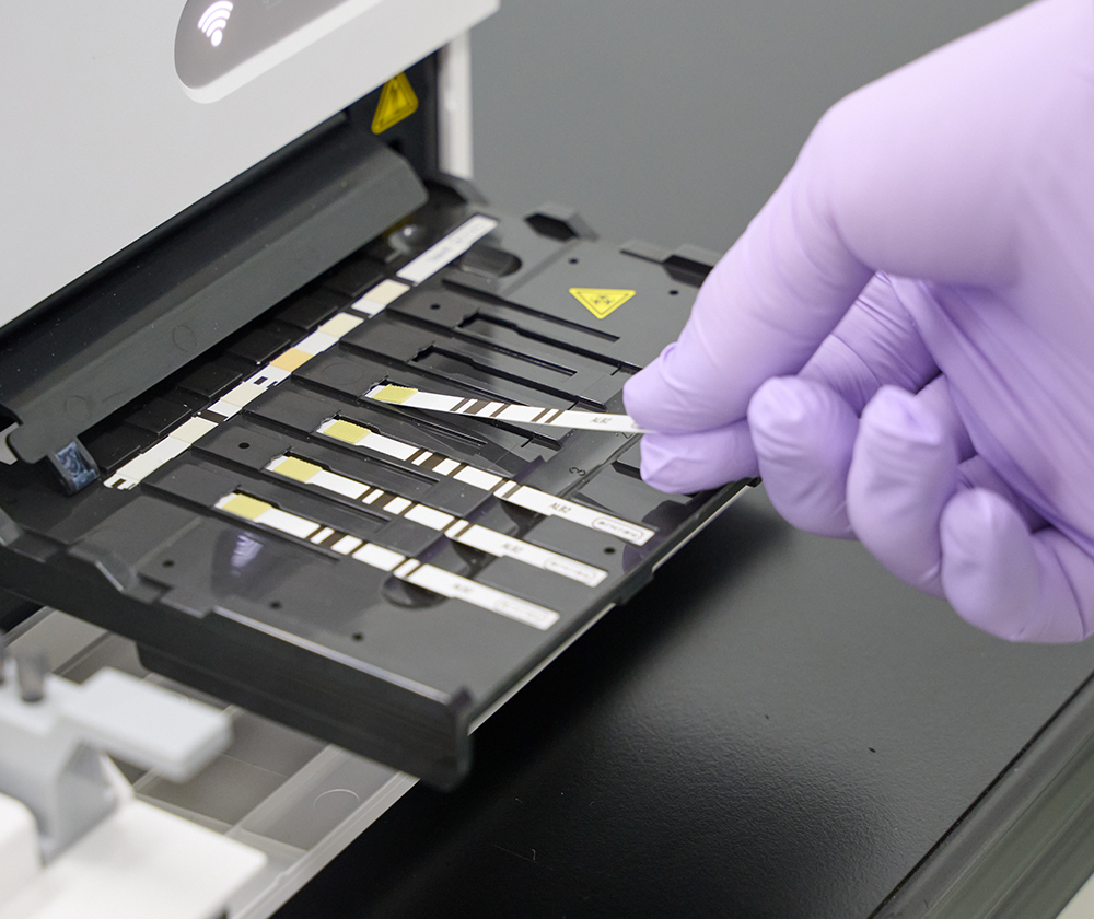 Analysis using the equipment